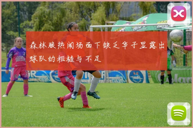 森林狼热闹场面下缺乏华子显露出球队的粗糙与不足