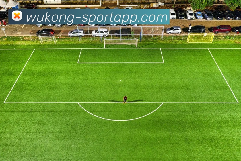 悟空体育平台生态图