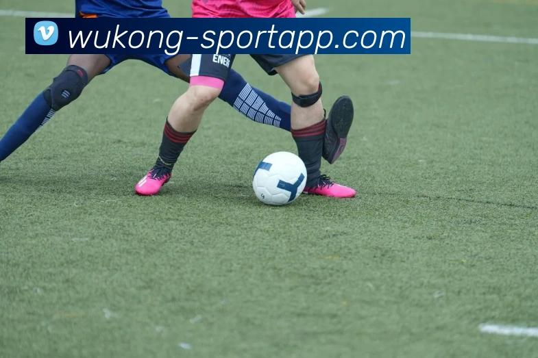 悟空体育APP 封面图